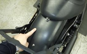 HARLEY XL883N 2015