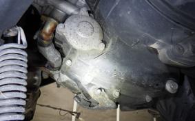 YAMAHA MAXAM 250 SG21J