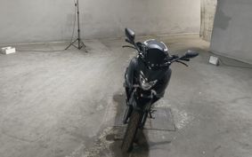 YAMAHA FZ250 FAZER RG42