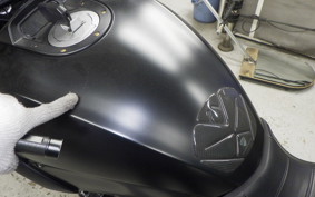 DUCATI DIAVEL Stripe 2014