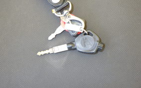 HONDA ZOOMER-X