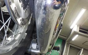 KAWASAKI W800 2020 EJ800B