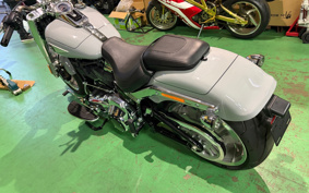 HARLEY FLFB 2025 YF9