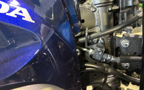 HONDA HAWK 11 2024 SC85