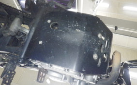 YAMAHA TRICKER DG10J