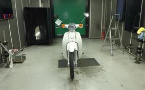 HONDA C110 SUPER CUB 2015 JA07