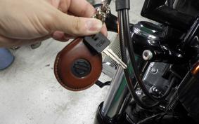 HARLEY XL1200X 2022