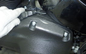 HARLEY FXFBS1870 2024