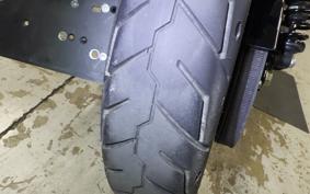 HARLEY XL1200NS 2020