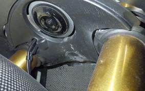 DUCATI 1199 PANIGALE S 2013