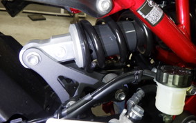 KAWASAKI Z900 2022 ZR900B