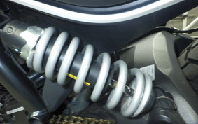 DUCATI SCRAMBLER ICON 2021