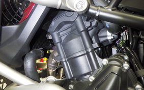 TRIUMPH TIGER 900 GT PRO 2025