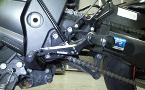 YAMAHA FZ1 FAZER 2010 RN21J