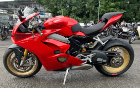 DUCATI PANIGA-REV4S 2018