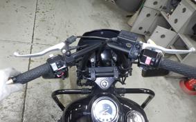 YAMAHA DRAGSTAR 250 2022 VG05J