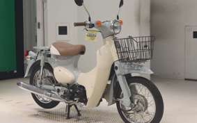 HONDA LITTLE CUB AA01