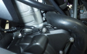 KAWASAKI ZX-4R SE 2025 ZX400P