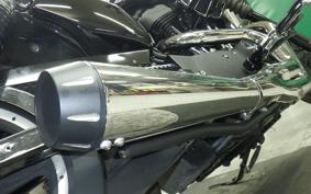 HARLEY XL1200NS 2020