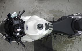KAWASAKI NINJA ZX-6R A 2019 ZX636G
