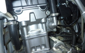 HONDA CRF250L 1999 MD38