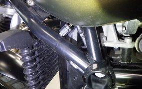 BMW R NINE T SCRAMBLER 2021