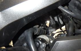 KAWASAKI NINJA 250 ABS 2024 EX250L