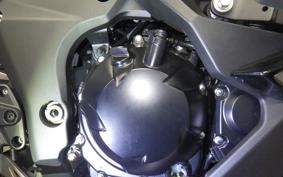 KAWASAKI NINJA 1000SX 2024 ZXT02K
