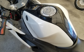 YAMAHA YZF-R25 RG10J