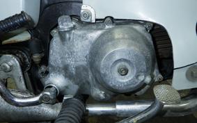 HONDA C65 SUPER CUB 2008 C65