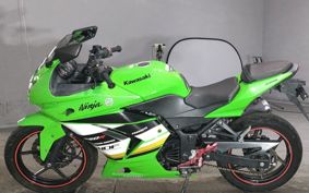KAWASAKI NINJA 250R EX250K