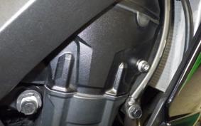 KAWASAKI NINJA 1000SX 2024 ZXT02K