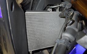 YAMAHA YZF-R25 A RG43J