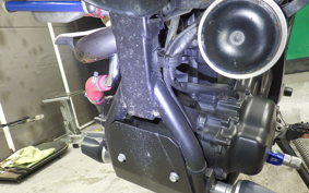 YAMAHA WR250X 2004 DG15J