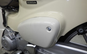 HONDA C110LITE 2020 JA76