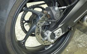 TRIUMPH DAYTONA 660 2024