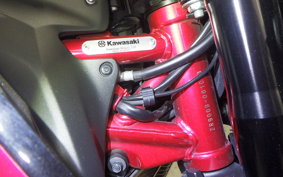 KAWASAKI Z900 2023 ZR900B