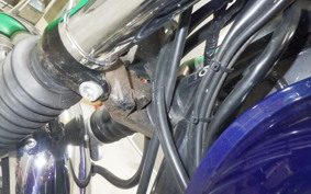 KAWASAKI W800 2014 EJ800A