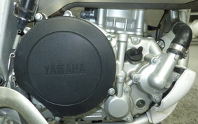 YAMAHA WR250R DG15J