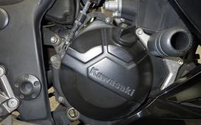 KAWASAKI Z250 2018 ER250C