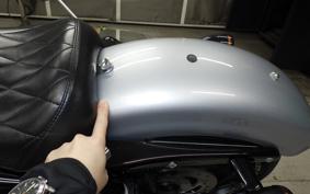 HARLEY XL1200NS 2020