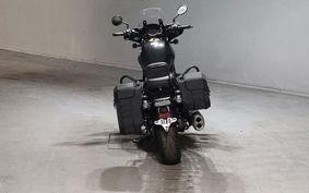 HONDA REBEL 1100 DCT 2023 SC83