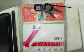 KAWASAKI KR-1 KR250B