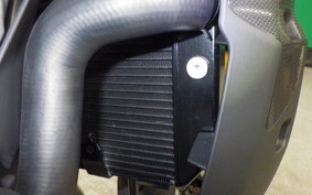 INDIAN FTR1200R carbon 2025