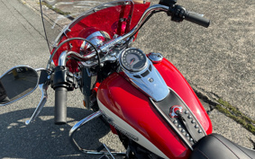 HARLEY FLI HYDRA-GLIDE 2024 BCK