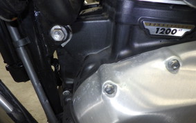 TRIUMPH BONNEVILLE T120 2024