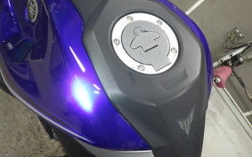 YAMAHA MT-25 2016 RG10J