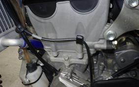 KAWASAKI KX250 2024 KX252C