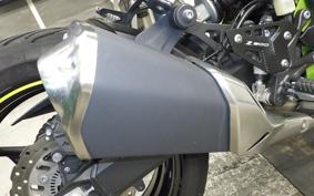 KAWASAKI Z900 2021 ZR900B