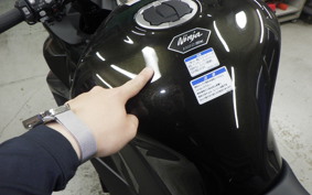 KAWASAKI NINJA 1100SX 2026 ZXT10H